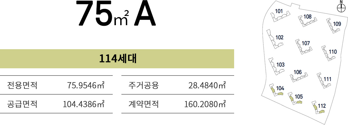 75A 타입 정보 (예시)