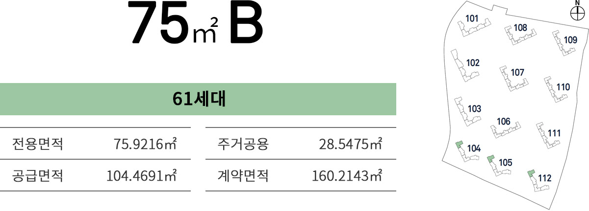 75B 타입 정보 (예시)